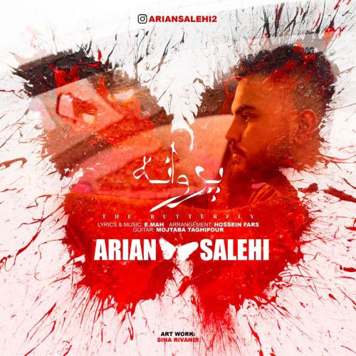 آرین صالحی پروانه